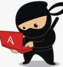 ninja